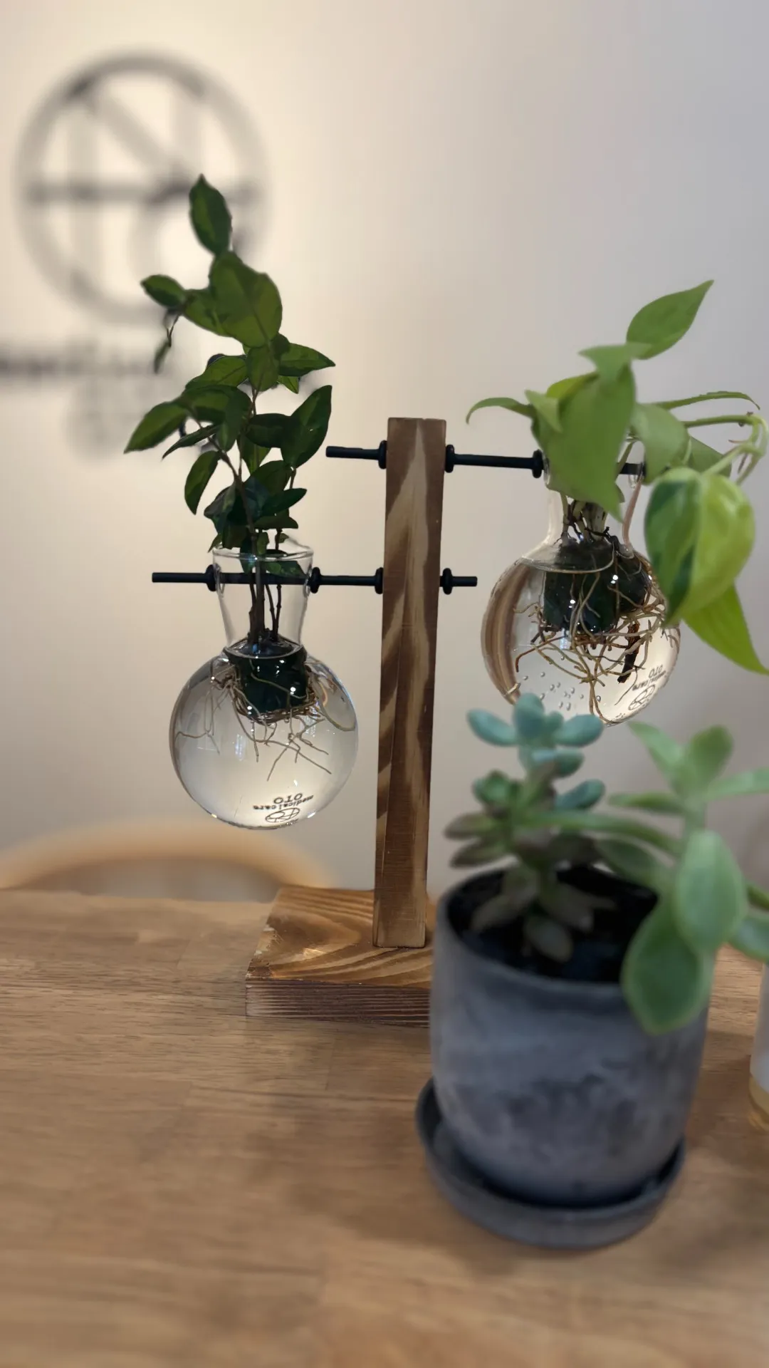 神経系ストレッチを導入したワケ