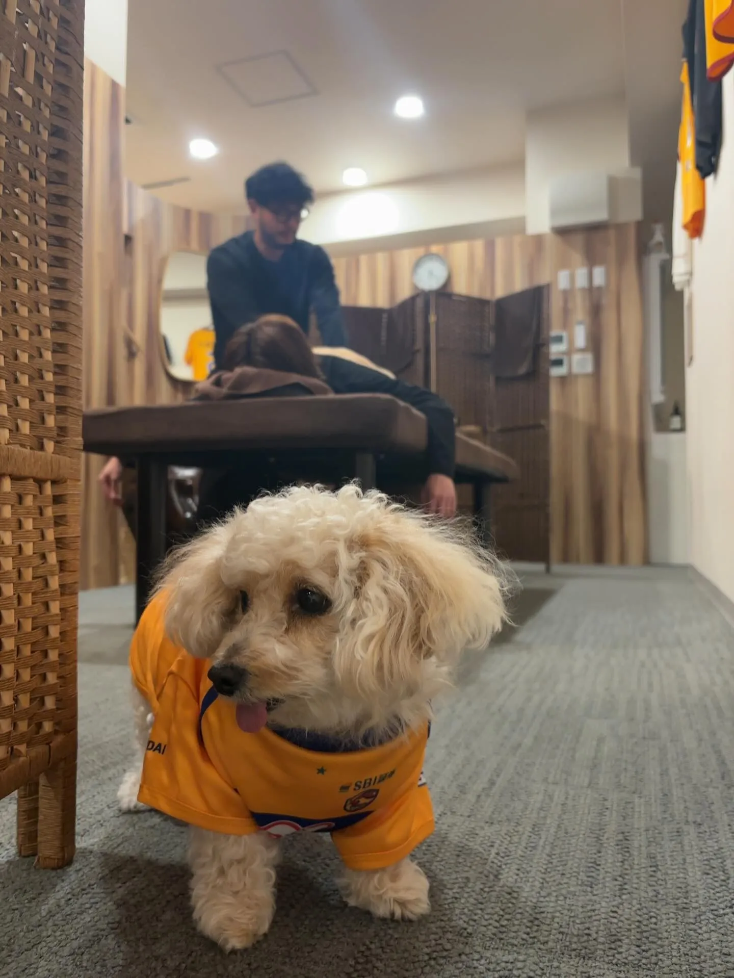 thank you 2025🐍👋🏽