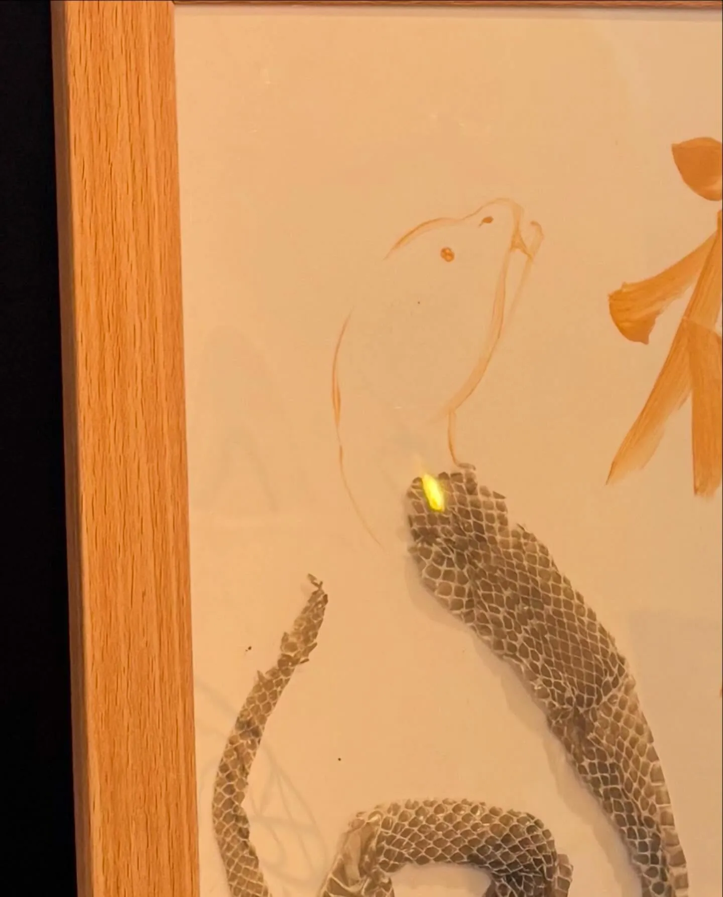 改めまして明けましておめでとう御座います🎍